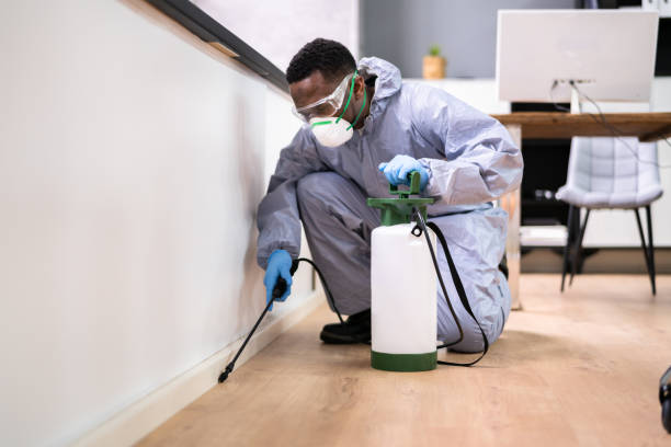 Best Residential Pest Control  in Florissant, MO